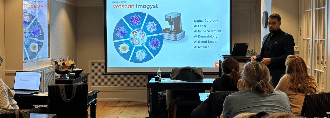 Daniel Zoetis foredrag til nyhetsbrev